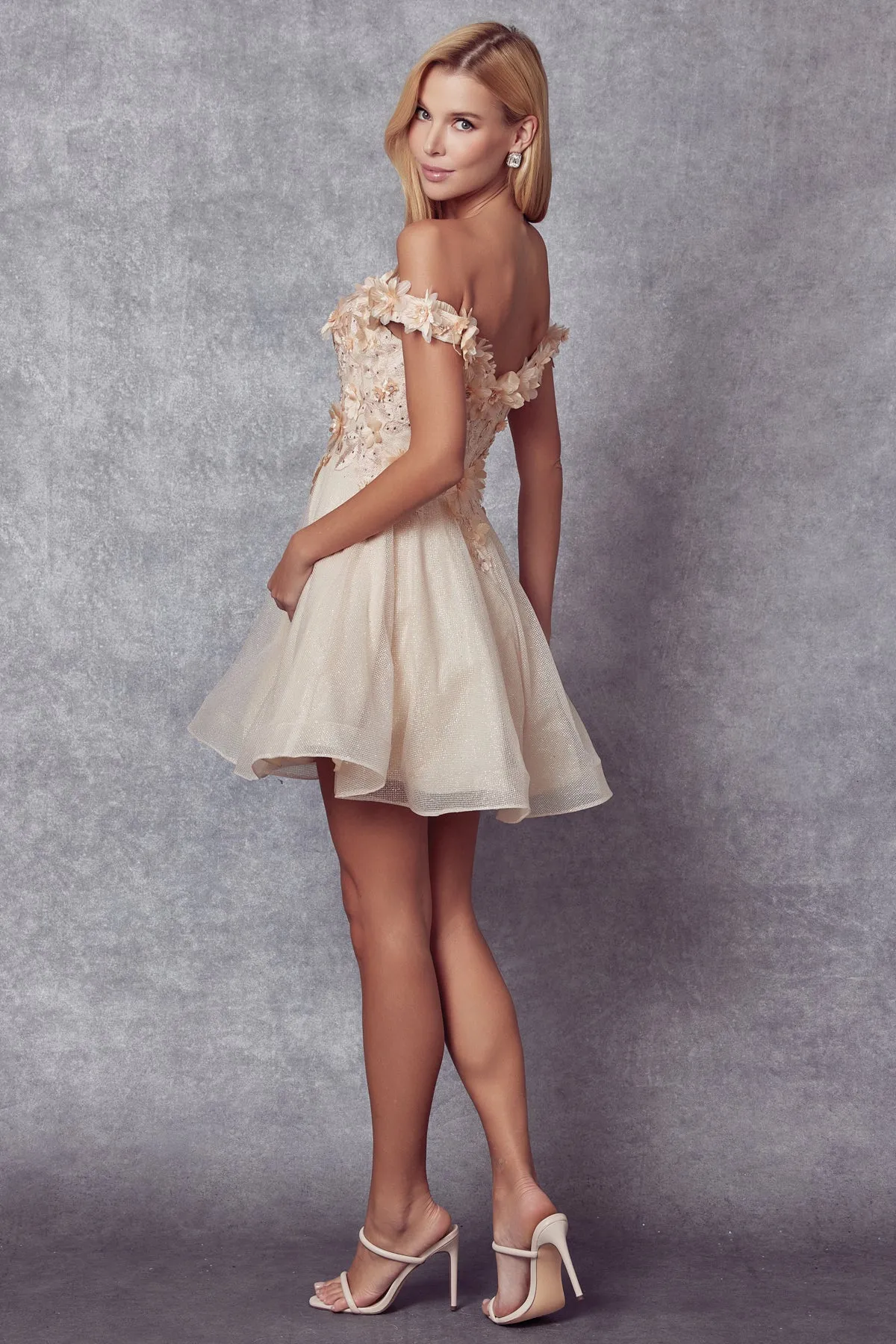 Floral embroidered and glitter mesh short dress