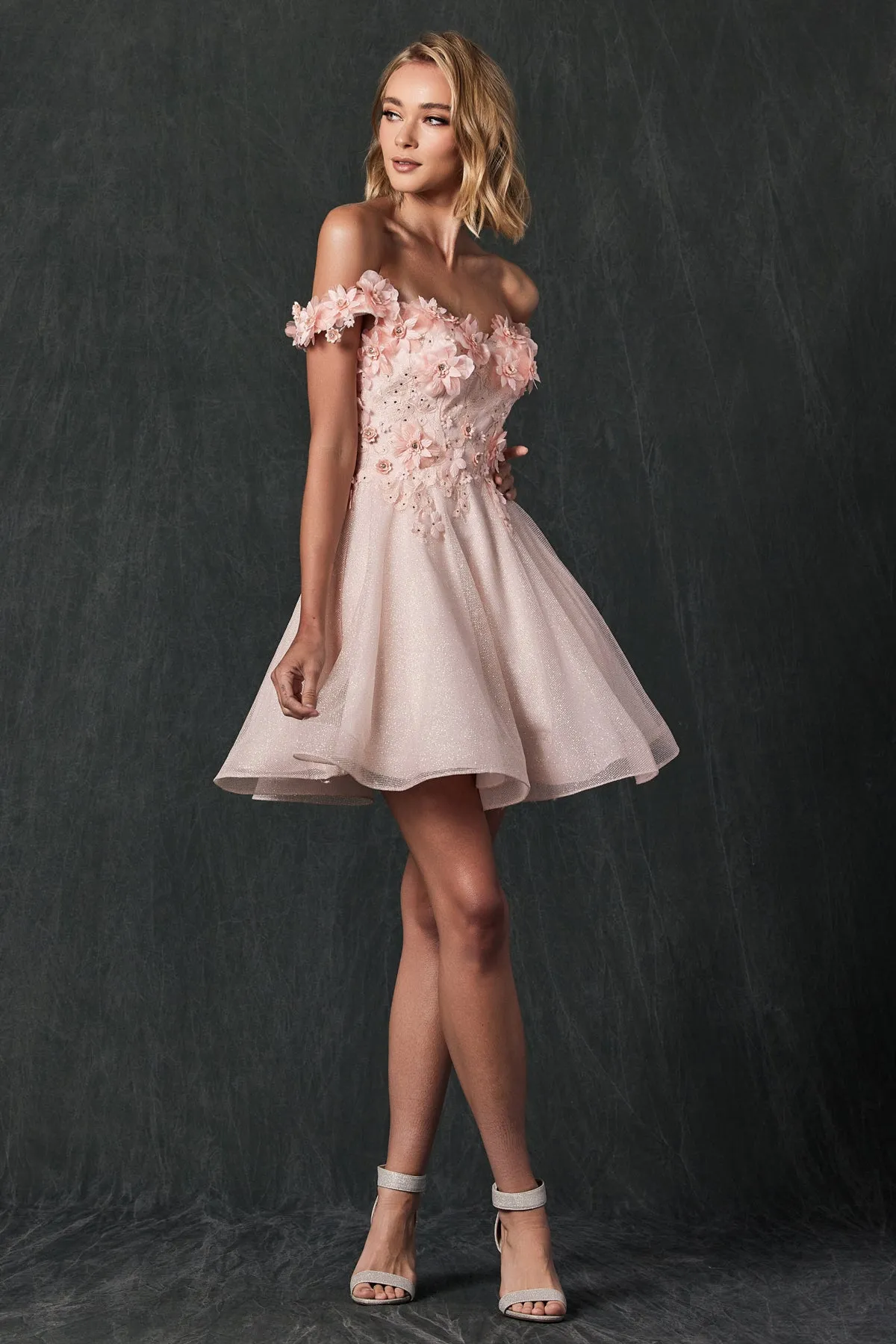 Floral embroidered and glitter mesh short dress