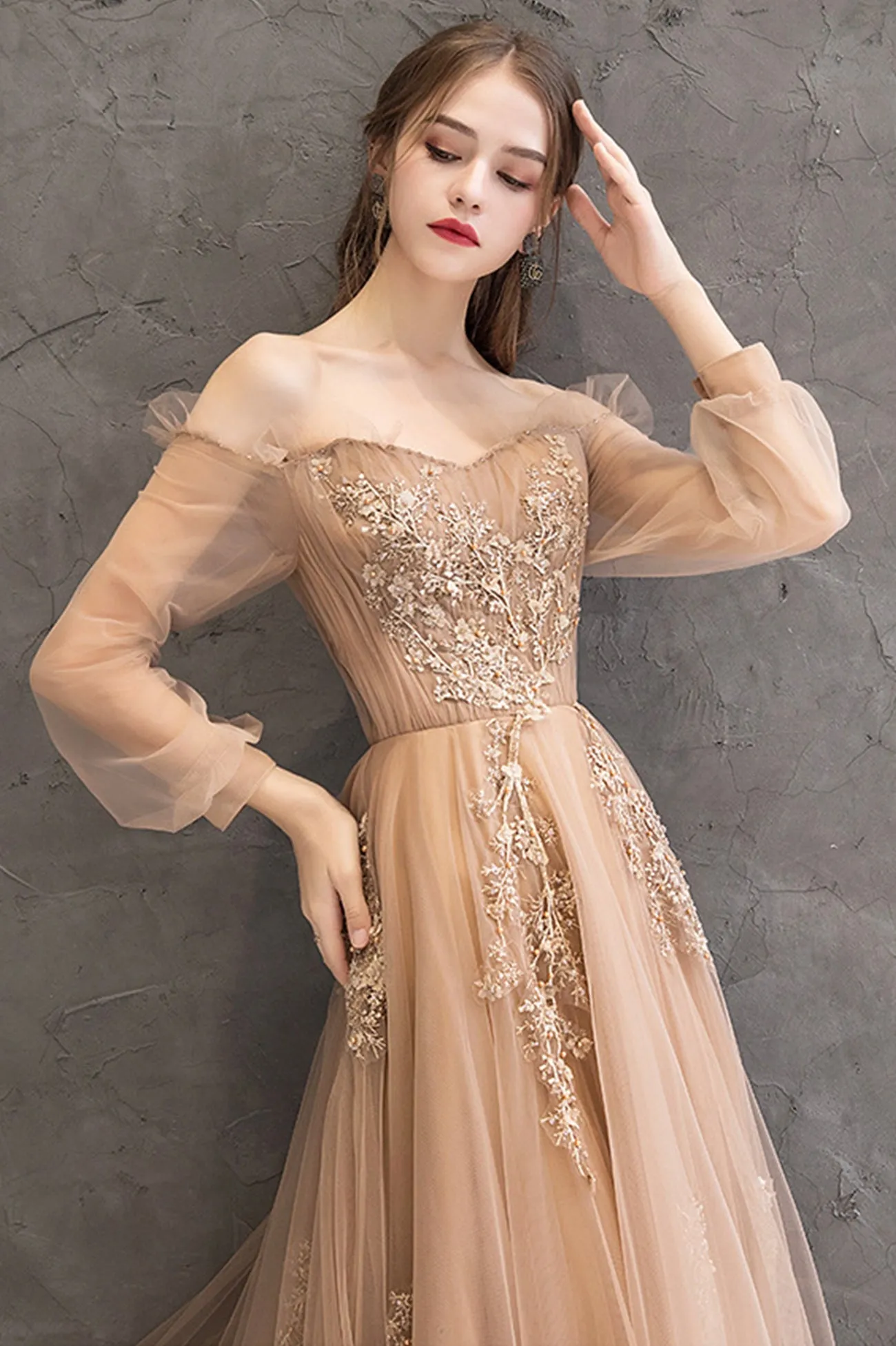 solvbao Elegant Tulle Lace Long Prom Dresses, A-Line Formal Evening Dresses